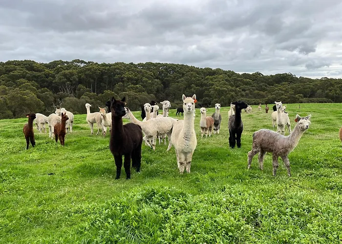 Twelve Apostles Motel & Country Retreat